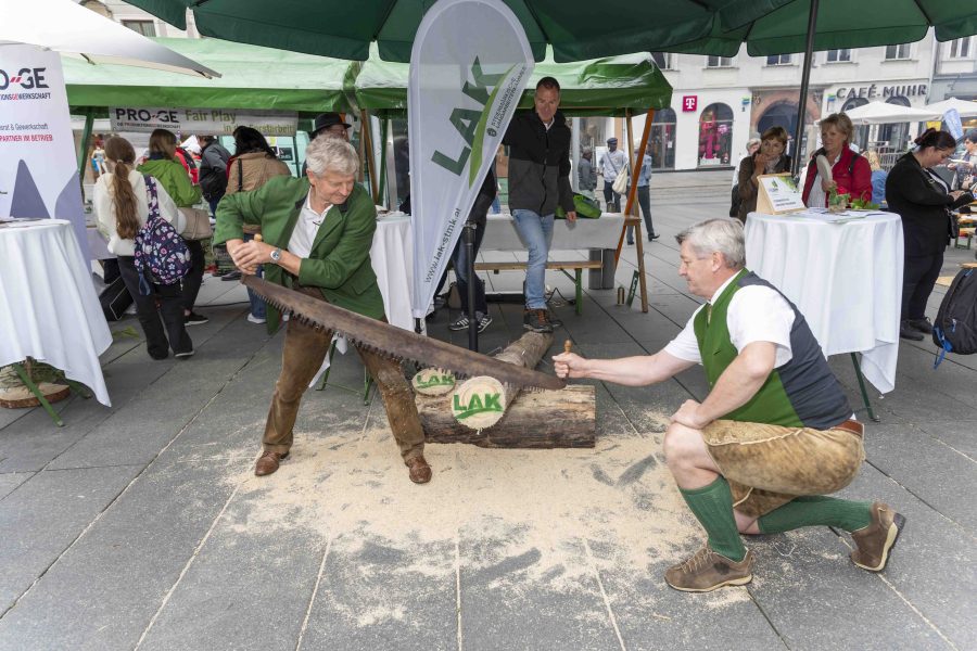 waldfest2024 67
                                                