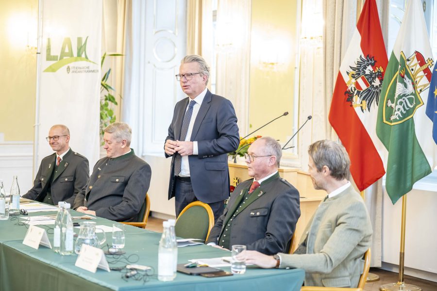 vv fotofischer063
                                                