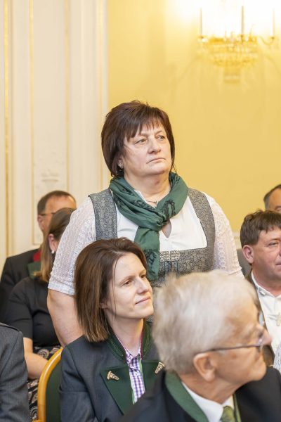 vv fotofischer077
                                                