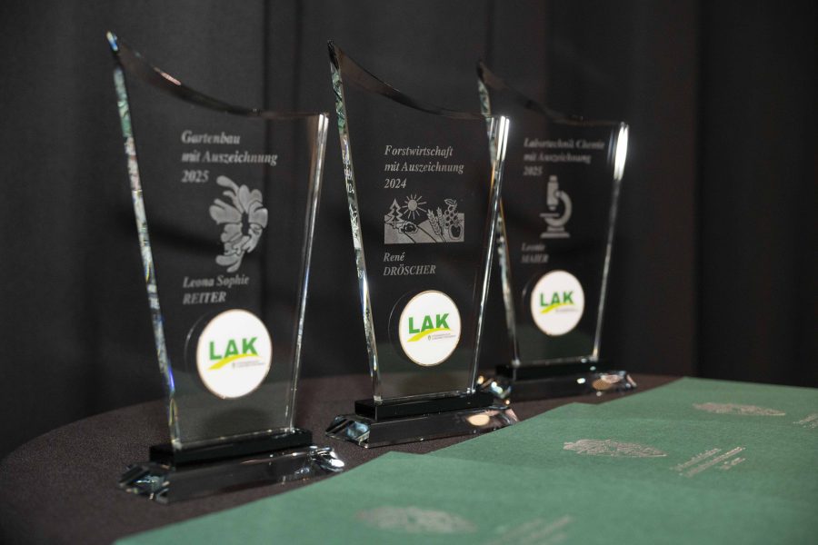 lak-kabarett-leoben2025 47
                                                
