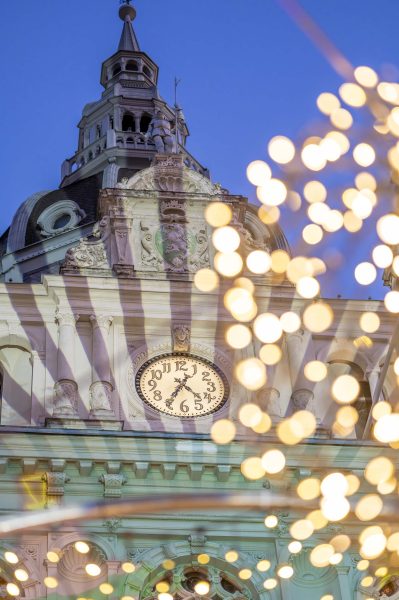 adventeroeffnung-mit-illumination-weihnachtsbaum-und-eiskrippe-15
                                                