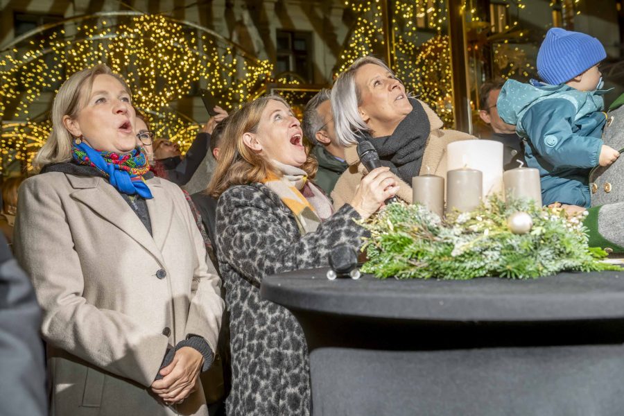 adventeroeffnung-mit-illumination-weihnachtsbaum-und-eiskrippe-22
                                                