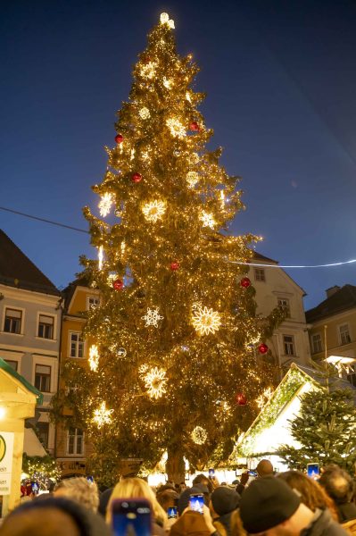 adventeroeffnung-mit-illumination-weihnachtsbaum-und-eiskrippe-23
                                                