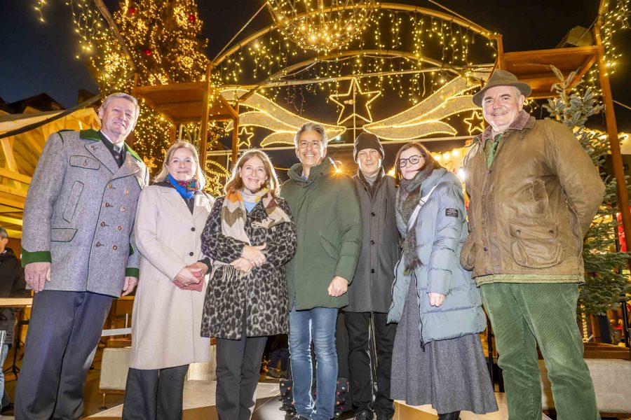 adventeroeffnung-mit-illumination-weihnachtsbaum-und-eiskrippe-26
                                                