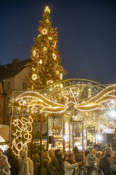 adventeroeffnung-mit-illumination-weihnachtsbaum-und-eiskrippe-27
                                                