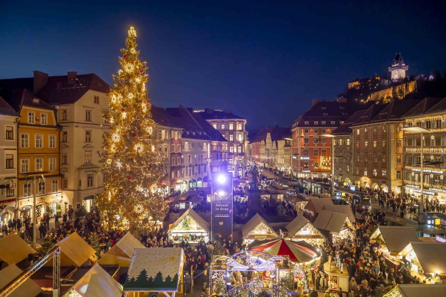 adventeroeffnung-mit-illumination-weihnachtsbaum-und-eiskrippe-28
                                                