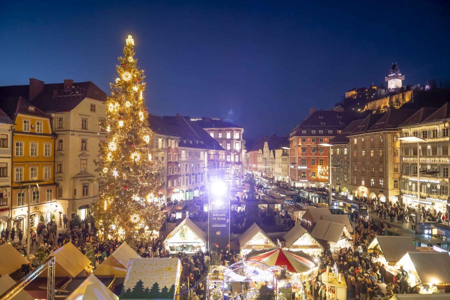 adventeroeffnung-mit-illumination-weihnachtsbaum-und-eiskrippe-30
                                                