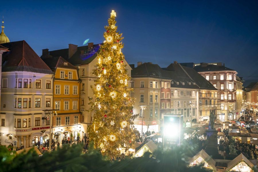 adventeroeffnung-mit-illumination-weihnachtsbaum-und-eiskrippe-31
                                                