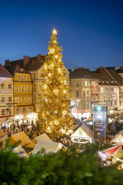 adventeroeffnung-mit-illumination-weihnachtsbaum-und-eiskrippe-32
                                                