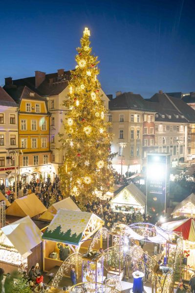 adventeroeffnung-mit-illumination-weihnachtsbaum-und-eiskrippe-33
                                                