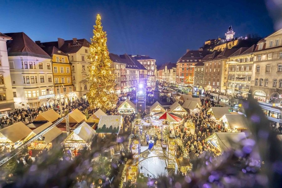 adventeroeffnung-mit-illumination-weihnachtsbaum-und-eiskrippe-34
                                                