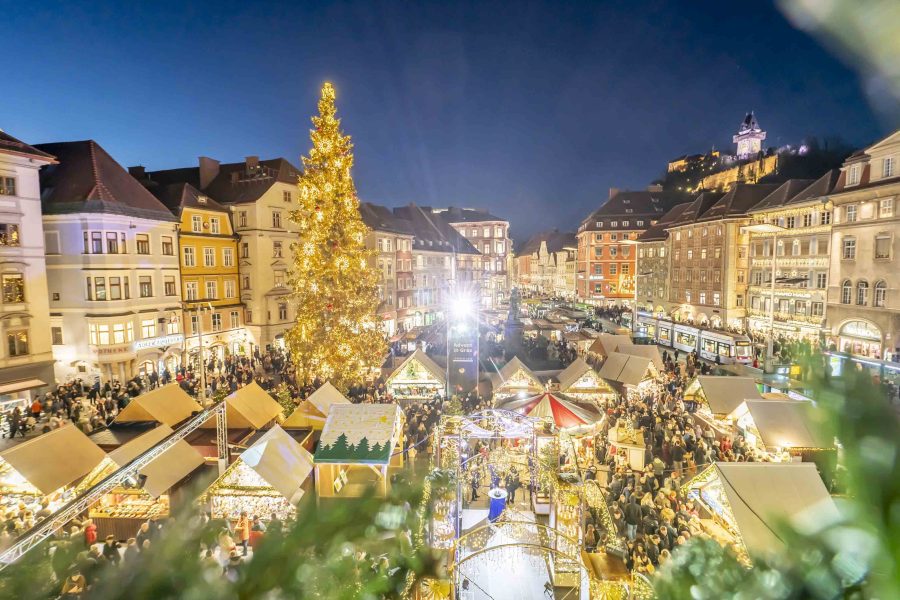 adventeroeffnung-mit-illumination-weihnachtsbaum-und-eiskrippe-35
                                                