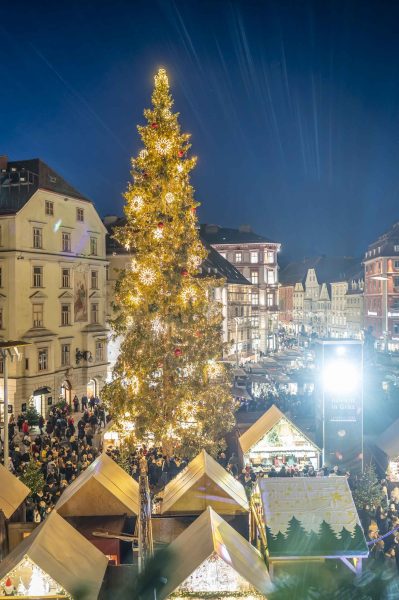 adventeroeffnung-mit-illumination-weihnachtsbaum-und-eiskrippe-36
                                                