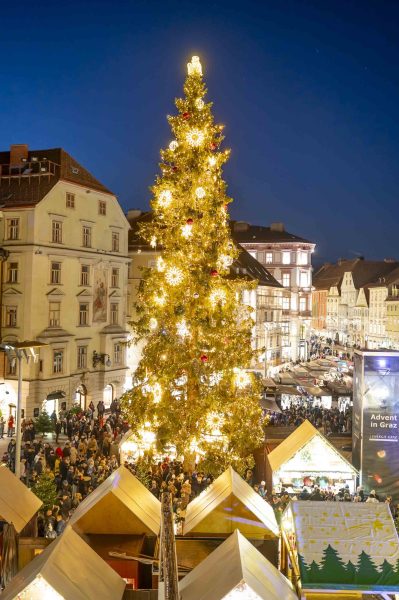 adventeroeffnung-mit-illumination-weihnachtsbaum-und-eiskrippe-37
                                                