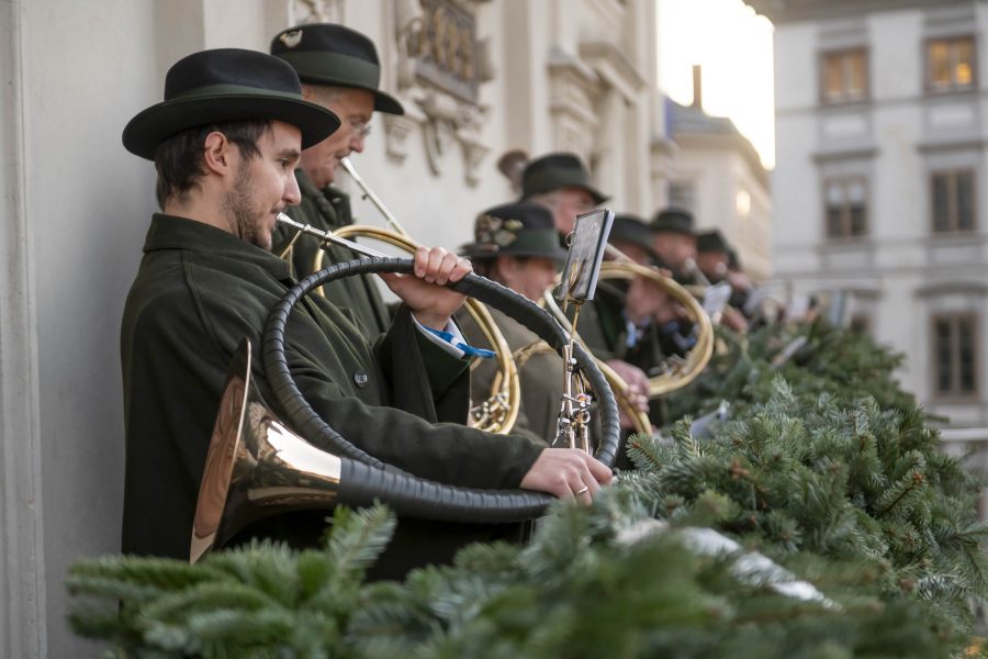 adventeroeffnung-mit-illumination-weihnachtsbaum-und-eiskrippe-7
                                                