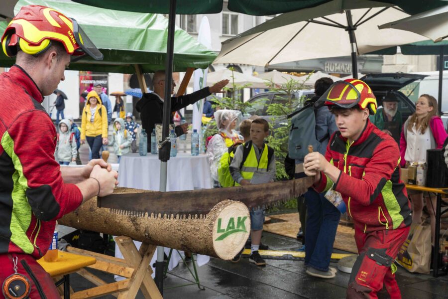 waldfest2026012
                                                