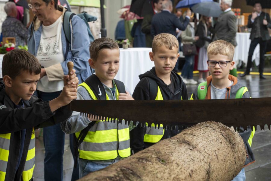 waldfest2026016
                                                