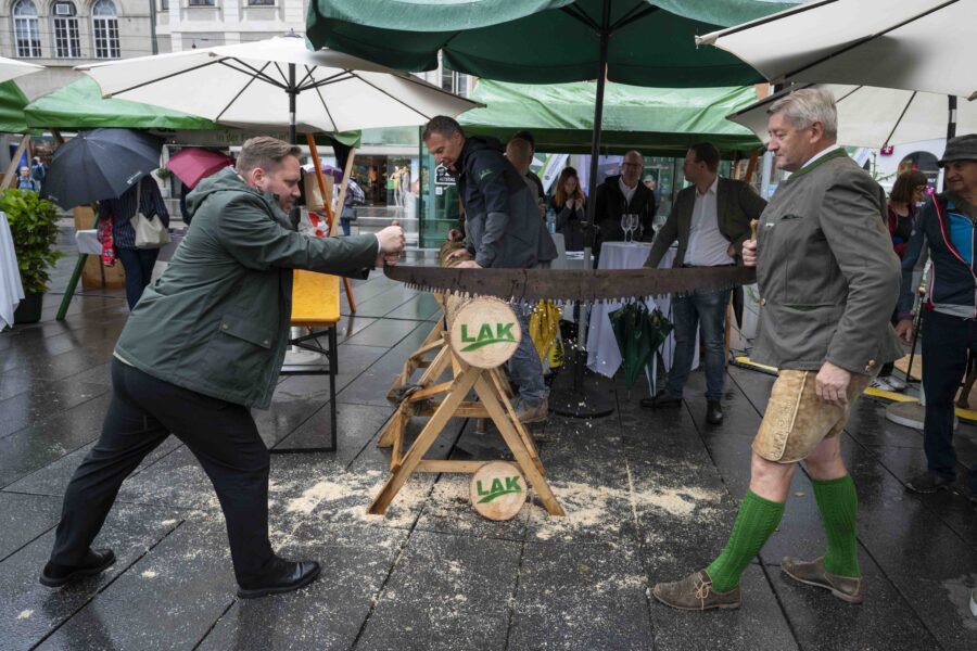 waldfest2026026
                                                