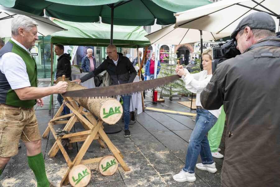 waldfest2026035
                                                