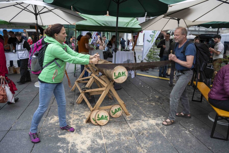 waldfest2026047
                                                