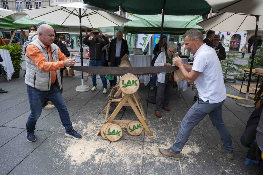 waldfest2026050
                                                