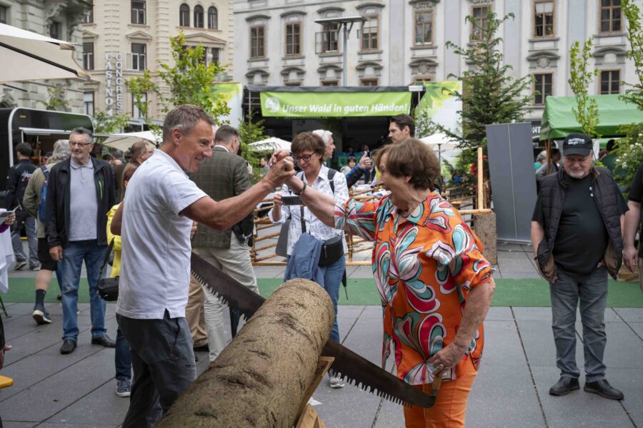 waldfest2026053
                                                