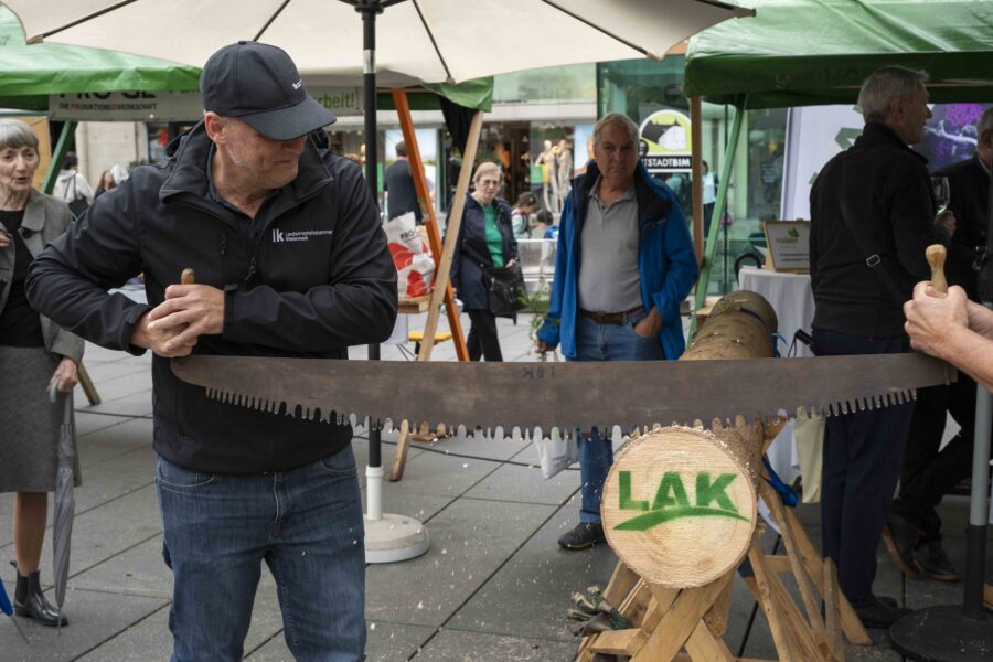 waldfest2026055
                                                