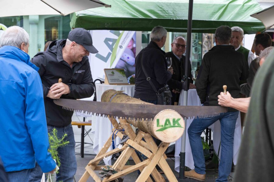waldfest2026056
                                                