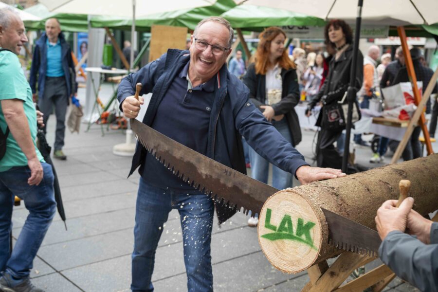 waldfest2026060
                                                
