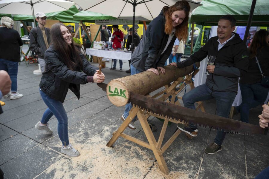 waldfest2026068
                                                