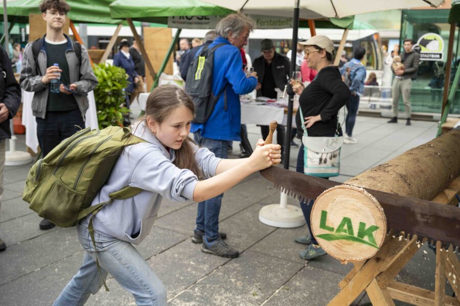 waldfest2026072
                                                