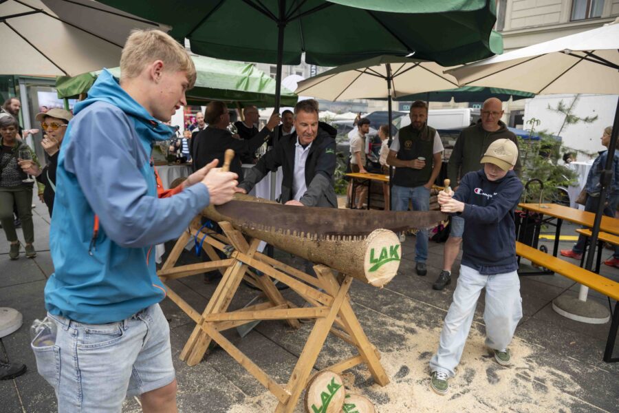 waldfest2026074
                                                
