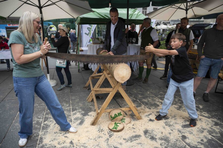 waldfest2026076
                                                