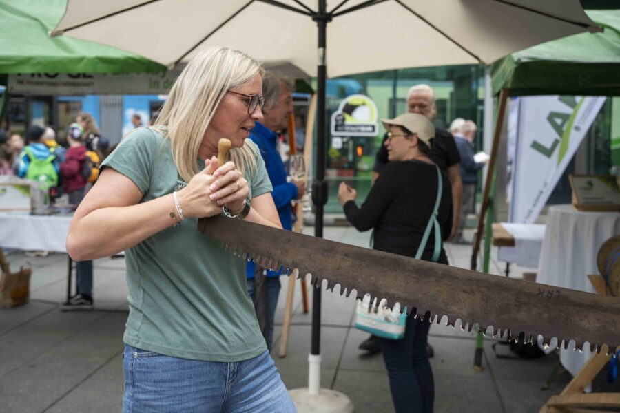 waldfest2026078
                                                