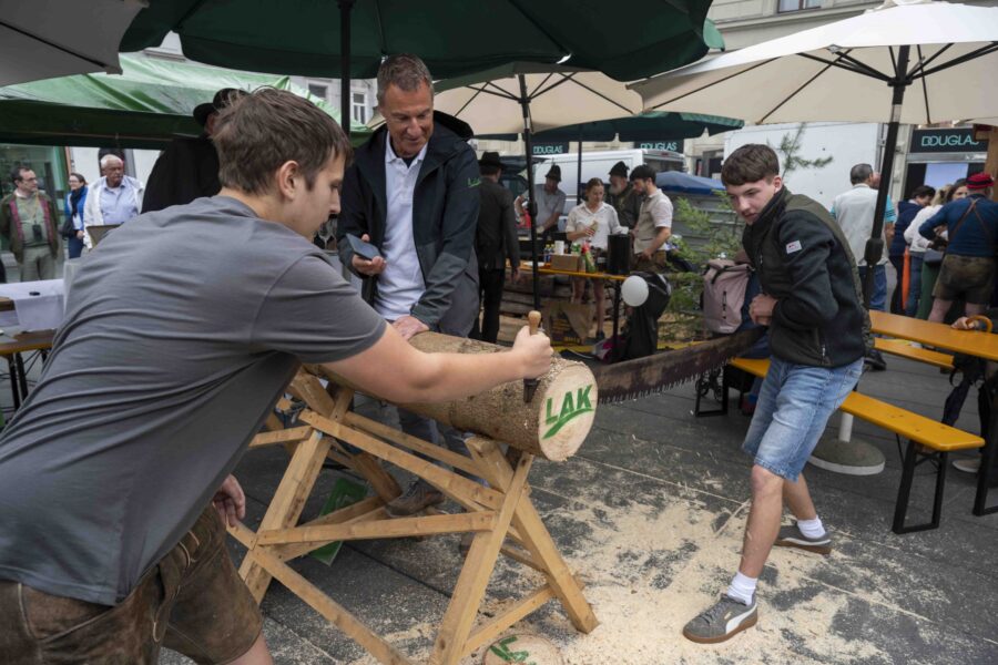 waldfest2026079
                                                