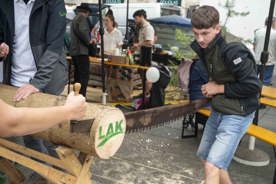 waldfest2026080
                                                