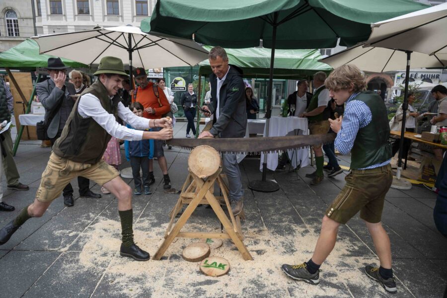 waldfest2026083
                                                