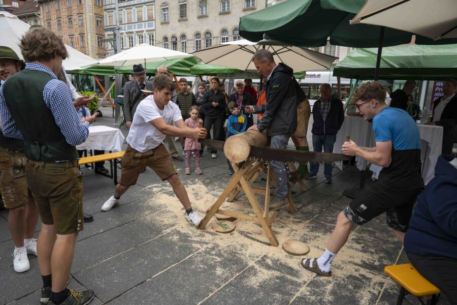 waldfest2026084
                                                
